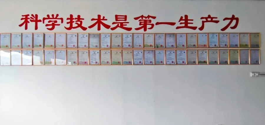 Qingdao Benzerleri Arasında 1. Sırada Yer Alan Eihe Steel-Structure'ın 